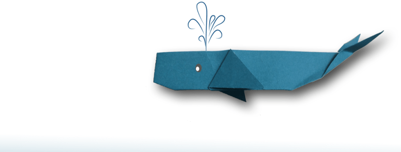 Origami Meerestiere Wal Anleitung zum falten